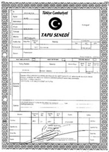 tapu rnei