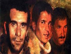 ÜÇ İSYAN ÇİÇEĞİMİZ...