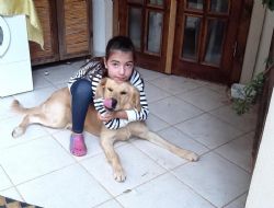 KALKAN'DA GÜZEL iŞLER YAPILIYOR