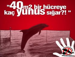 Kaş'ta Eylem